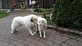 20170429_081302