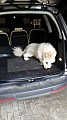 IMG-20160723-WA0000