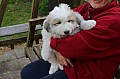 IMG_1094